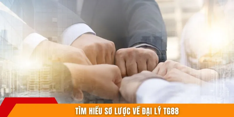 Tìm hiểu sơ lược về đại lý TG88
